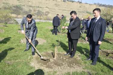 8 Noyabr- Zəfər Günü münasibətilə silsilə tədbirlər davam etdirilir.