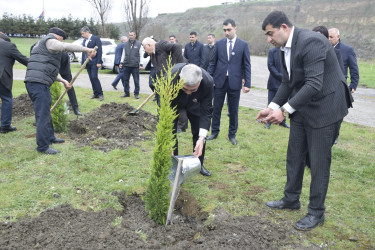 31 Mart - Azərbaycanlıların Soyqırımı Günü ilə əlaqədar Quba şəhərində ağacəkmə aksiyası keçirilmişdir.