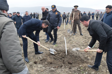 Quba rayonunda “Yaşıl dünya naminə həmrəylik ili” çərçivəsində növbəti ağacəkmə aksiyası keçirilib.