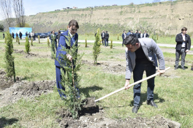 “Şəhərsalma və Memarlıq İli” çərçivəsində Qubada ağacəkmə aksiyası keçirilib.