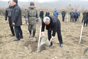 Quba rayonunda “Yaşıl dünya naminə həmrəylik ili” çərçivəsində növbəti ağacəkmə aksiyası keçirilib.