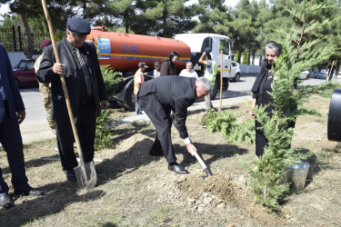 Qubada Anım Günü ilə əlaqədar ağacəkmə aksiyası keçirildi.