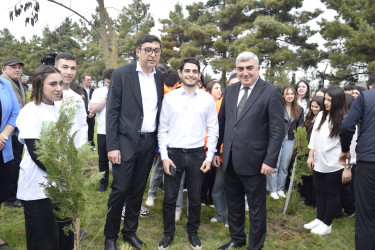 “Şəhərsalma və Memarlıq İli” çərçivəsində Qubada növbəti ağacəkmə aksiyası keçirilib.