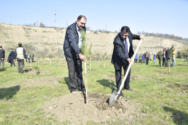 8 Noyabr- Zəfər Günü münasibətilə silsilə tədbirlər davam etdirilir.