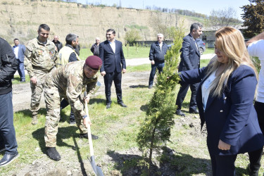 “Şəhərsalma və Memarlıq İli” çərçivəsində Qubada ağacəkmə aksiyası keçirilib.