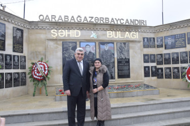Davudoba kənd yolunun asfaltlanma işləri başa çatıb.