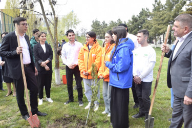 “Şəhərsalma və Memarlıq İli” çərçivəsində Qubada növbəti ağacəkmə aksiyası keçirilib.