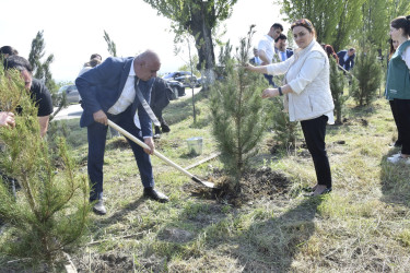 Qubada Ümummilli Lider Heydər Əliyevin anadan olmasının 103-cü ildönümü münasibətilə ağacəkmə aksiyası keçirilib.