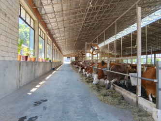 Quba rayonunda kənd təsərrüfatı subyektlərinə baxış keçirildi.
