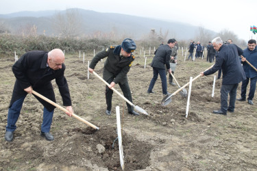 Quba rayonunda “Yaşıl dünya naminə həmrəylik ili” çərçivəsində növbəti ağacəkmə aksiyası keçirilib.