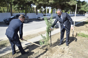 Qubada Anım Günü ilə əlaqədar ağacəkmə aksiyası keçirildi.