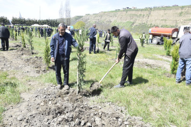 “Şəhərsalma və Memarlıq İli” çərçivəsində Qubada ağacəkmə aksiyası keçirilib.
