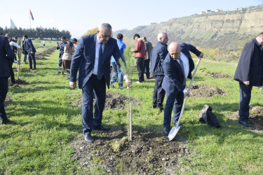 8 Noyabr- Zəfər Günü münasibətilə silsilə tədbirlər davam etdirilir.