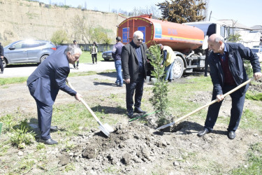 “Şəhərsalma və Memarlıq İli” çərçivəsində Qubada ağacəkmə aksiyası keçirilib.