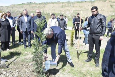 “Şəhərsalma və Memarlıq İli” çərçivəsində Qubada ağacəkmə aksiyası keçirilib.