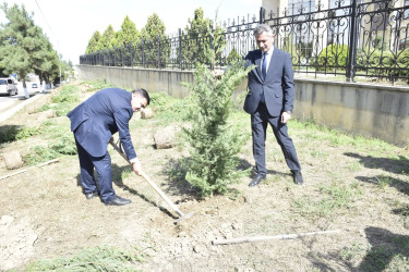Qubada Anım Günü ilə əlaqədar ağacəkmə aksiyası keçirildi.