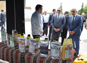 Qubada Aqrar Biznes Festivalı keçirilib.