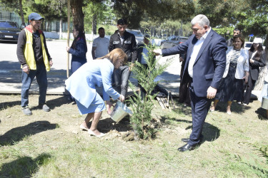 Qubada Ümummilli Lider Heydər Əliyevin anadan olmasının 103-cü ildönümü qeyd olunub.