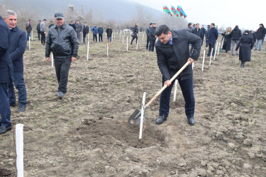 Quba rayonunda “Yaşıl dünya naminə həmrəylik ili” çərçivəsində növbəti ağacəkmə aksiyası keçirilib.