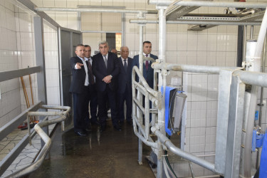 Qubada heyvandarlıq təsərrüfatının fəaliyyəti ilə tanışlıq olub.