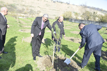 8 Noyabr- Zəfər Günü münasibətilə silsilə tədbirlər davam etdirilir.