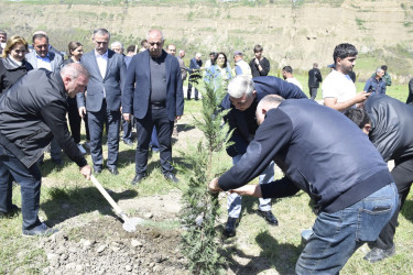 “Şəhərsalma və Memarlıq İli” çərçivəsində Qubada ağacəkmə aksiyası keçirilib.