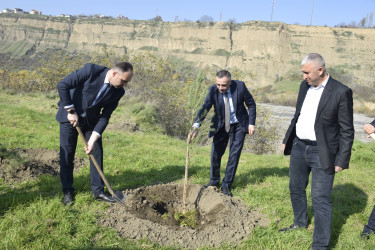 8 Noyabr- Zəfər Günü münasibətilə silsilə tədbirlər davam etdirilir.