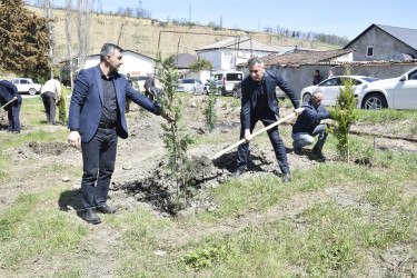 “Şəhərsalma və Memarlıq İli” çərçivəsində Qubada ağacəkmə aksiyası keçirilib.