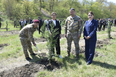 “Şəhərsalma və Memarlıq İli” çərçivəsində Qubada ağacəkmə aksiyası keçirilib.