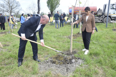 Qubada Ümummilli Lider Heydər Əliyevin anadan olmasının 103-cü ildönümü münasibətilə ağacəkmə aksiyası keçirilib.