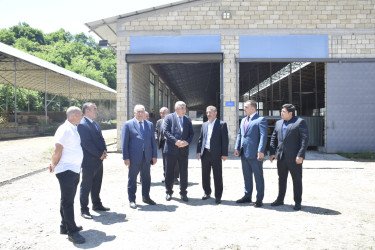 Qubada heyvandarlıq təsərrüfatının fəaliyyəti ilə tanışlıq olub.