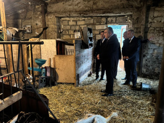 Tüləkəran kəndində sosial-iqtisadi təşəbbüsə dəstək.