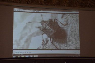 Qubada “Qəhvəyi mərmər bağacığına qarşı maarifləndirmə və mübarizə” mövzusunda tədbir keçirilib.