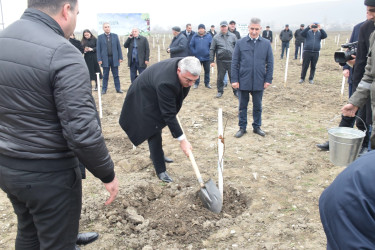 Quba rayonunda “Yaşıl dünya naminə həmrəylik ili” çərçivəsində növbəti ağacəkmə aksiyası keçirilib.