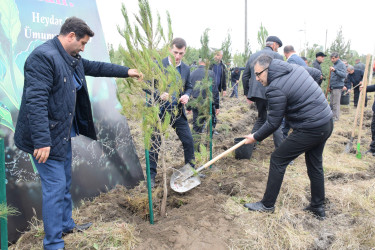 Rayonda “Yaşıl dünya naminə həmrəylik ili” çərçivəsində növbəti geniş miqyaslı ağacəkmə aksiyası keçirilib.