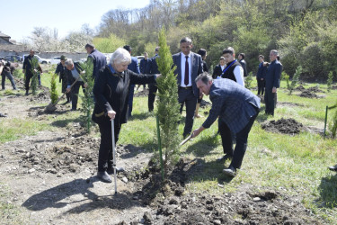 “Şəhərsalma və Memarlıq İli” çərçivəsində Qubada ağacəkmə aksiyası keçirilib.