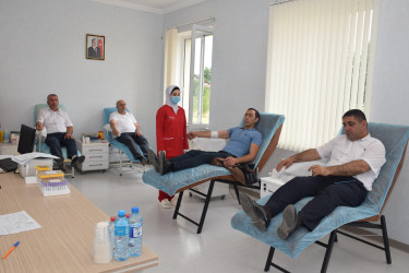 Qubada Talassemiyalı və hemofiliyalı xəstələrə köməklik göstərilməsi məqsədilə qanvermə aksiyası keçirilib.