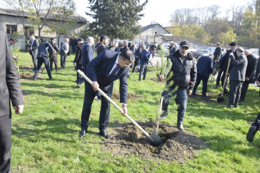 8 Noyabr- Zəfər Günü münasibətilə silsilə tədbirlər davam etdirilir.