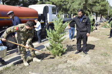 Qubada Anım Günü ilə əlaqədar ağacəkmə aksiyası keçirildi.