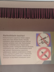 “Sağlam gənclik sağlam cəmiyyətin əsasıdır” adlı maarifləndirci seminar keçirilmişdir.