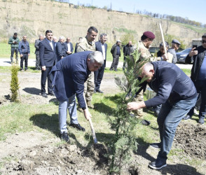 “Şəhərsalma və Memarlıq İli” çərçivəsində Qubada ağacəkmə aksiyası keçirilib.