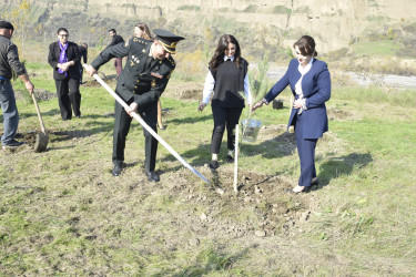 8 Noyabr- Zəfər Günü münasibətilə silsilə tədbirlər davam etdirilir.