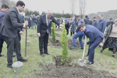 31 Mart - Azərbaycanlıların Soyqırımı Günü ilə əlaqədar Quba şəhərində ağacəkmə aksiyası keçirilmişdir.