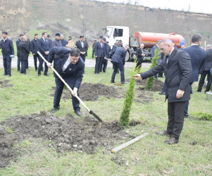 31 Mart - Azərbaycanlıların Soyqırımı Günü ilə əlaqədar Quba şəhərində ağacəkmə aksiyası keçirilmişdir.