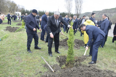 31 Mart - Azərbaycanlıların Soyqırımı Günü ilə əlaqədar Quba şəhərində ağacəkmə aksiyası keçirilmişdir.