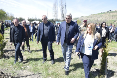 “Şəhərsalma və Memarlıq İli” çərçivəsində Qubada ağacəkmə aksiyası keçirilib.
