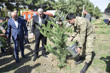 Qubada Anım Günü ilə əlaqədar ağacəkmə aksiyası keçirildi.