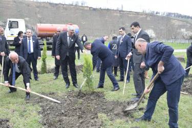 31 Mart - Azərbaycanlıların Soyqırımı Günü ilə əlaqədar Quba şəhərində ağacəkmə aksiyası keçirilmişdir.