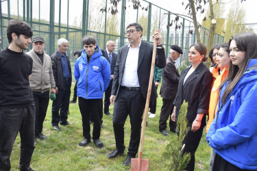 “Şəhərsalma və Memarlıq İli” çərçivəsində Qubada növbəti ağacəkmə aksiyası keçirilib.