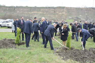 31 Mart - Azərbaycanlıların Soyqırımı Günü ilə əlaqədar Quba şəhərində ağacəkmə aksiyası keçirilmişdir.